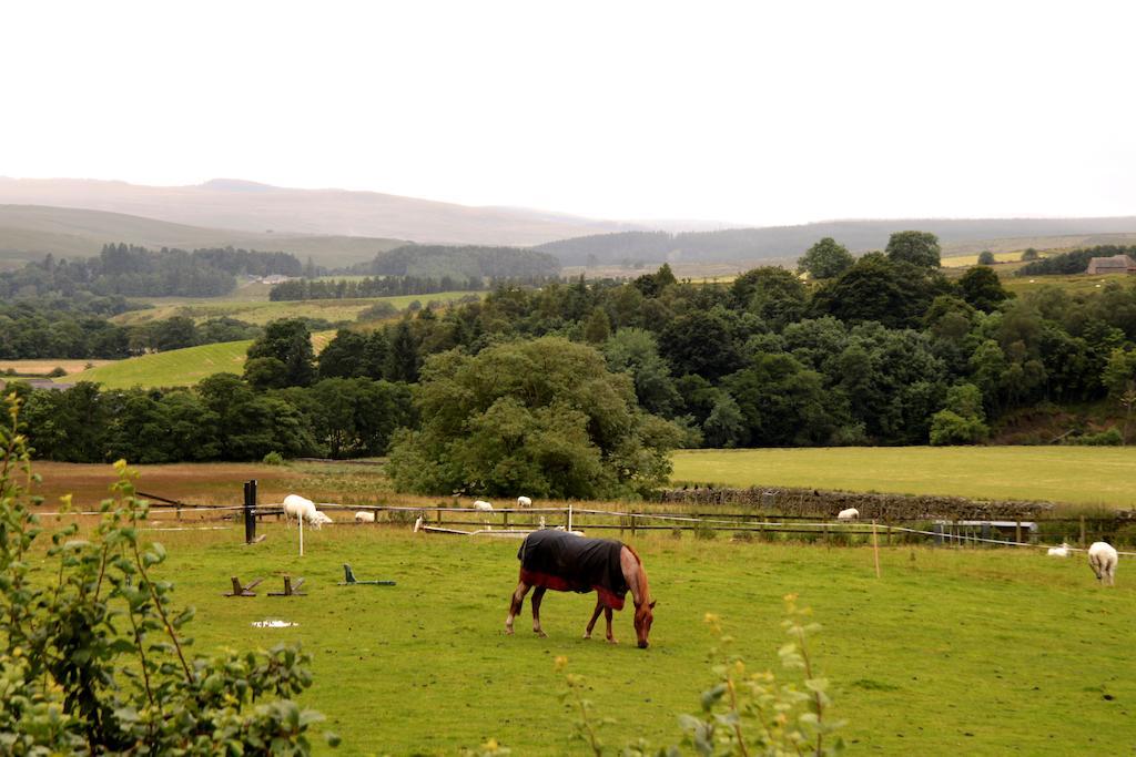 Hollybush Inn Greenhaugh Eksteriør billede